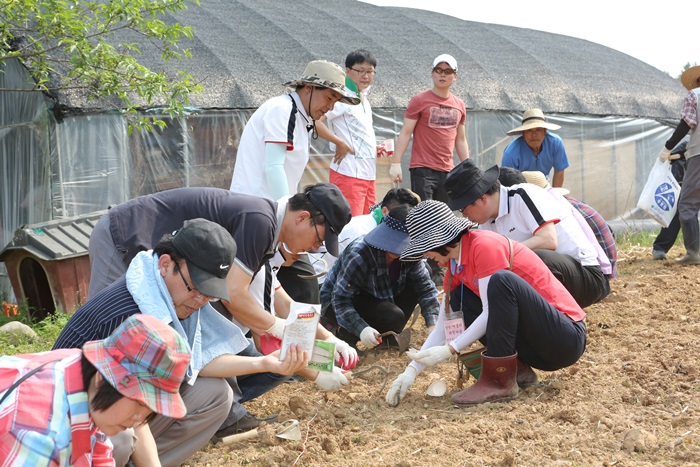 1사1촌 일손돕기 
