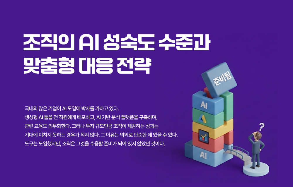 조직의 AI 성숙도 수준과 춤형 대응 전략