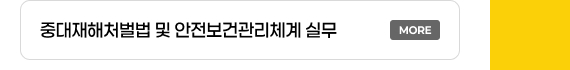 중대재해처벌법 및 안전보건관리체계 실무