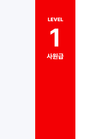 Lv1 사원급