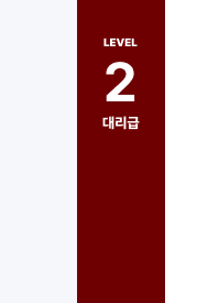 Lv2 대리급