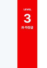 Lv3 과&middot;차장급