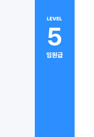 Lv5 임원급