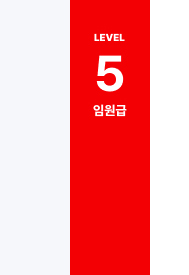 Lv5 임원급