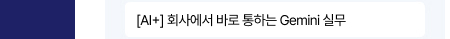 [AI+] 회사에서 바로 통하는 Gemini 실무