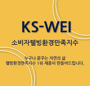 한국웰빙환경만족지수