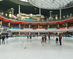 라돈안전[공간]인증 - 롯데월드 어드벤처 대표이미지